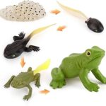 Explora el Ciclo de Vida con el Kit de Juguete Educativo de Animales del Bosque: Alternativas Divertidas para Aprender Jugando