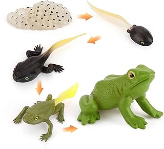 Explora el Ciclo de Vida con el Kit de Juguete Educativo de Animales del Bosque: Alternativas Divertidas para Aprender Jugando