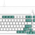 Descubre por qué el Teclado Mecánico Ziyou Lang K3 con LED Rainbow es el Favorito de los Gamers: Ergonomía y Estilo en Cada Pulso