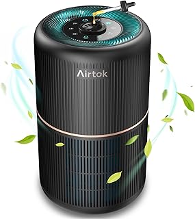 Cómo Elegir el Purificador de Aire Perfecto: AIRTOK para Alérgias al Polen y Más, ¡Descubre sus Beneficios!